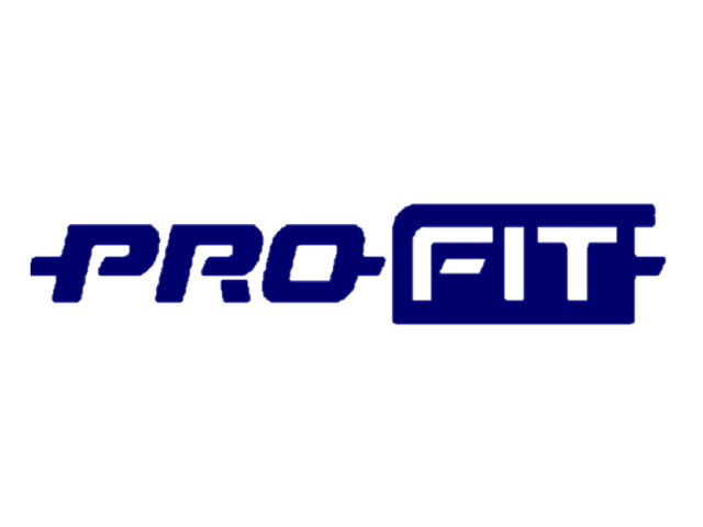 Logo Profit italia srl
