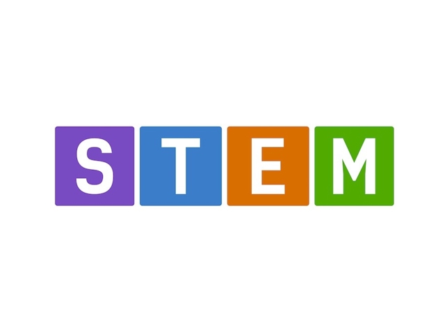 Logo Stem
