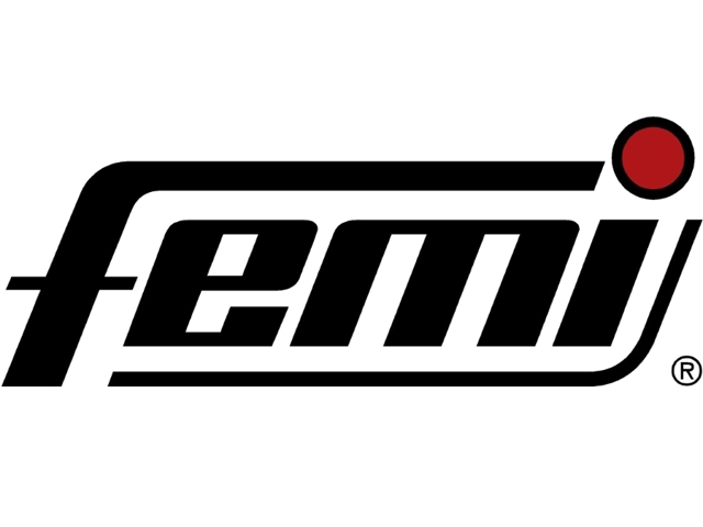 Logo Femi