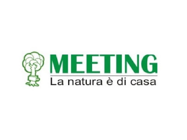 Logo Meeting s.r.l.