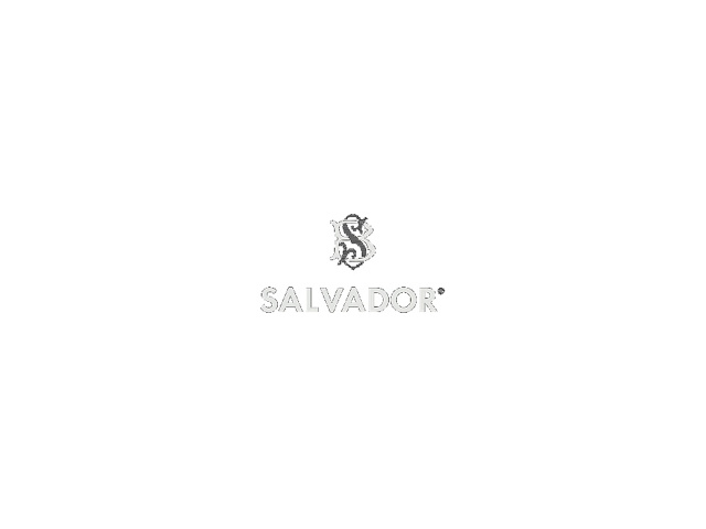 Logo Salvador