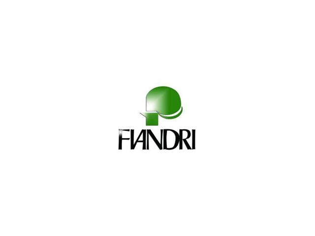 Logo Officina fiandri s.r.l.