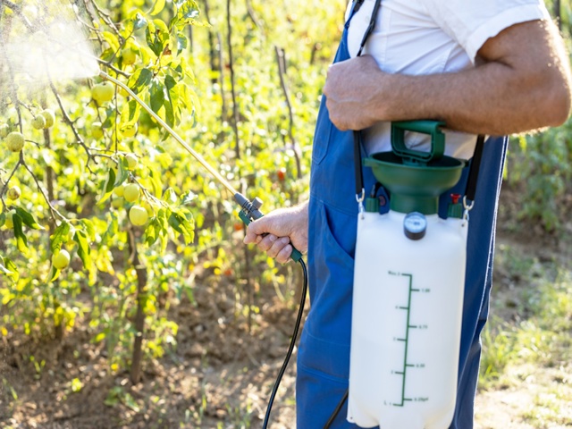 Categoria "Pompe per diserbo e irrorazione"