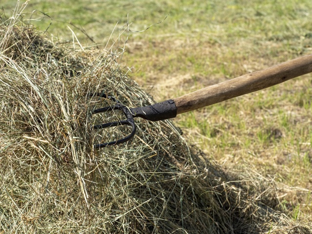 Categoria "Strumenti per raccolta"