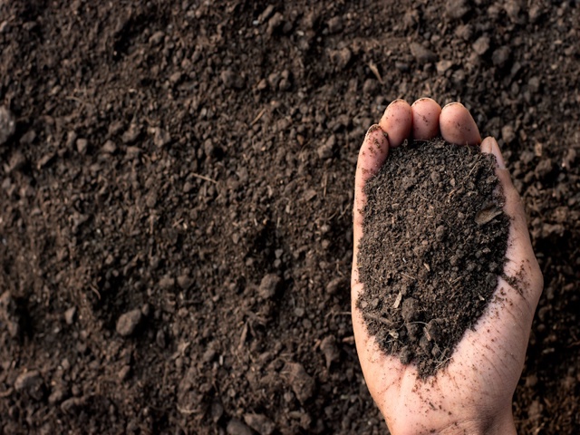 Categoria "Terricci e pacciamanti"