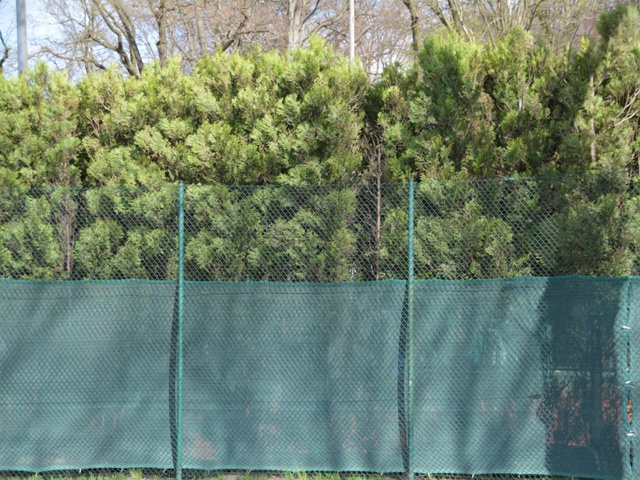 Categoria "Tessuti e reti frangivista"