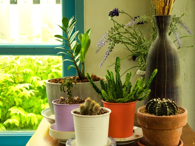 Categoria "Vasi e porta vasi"