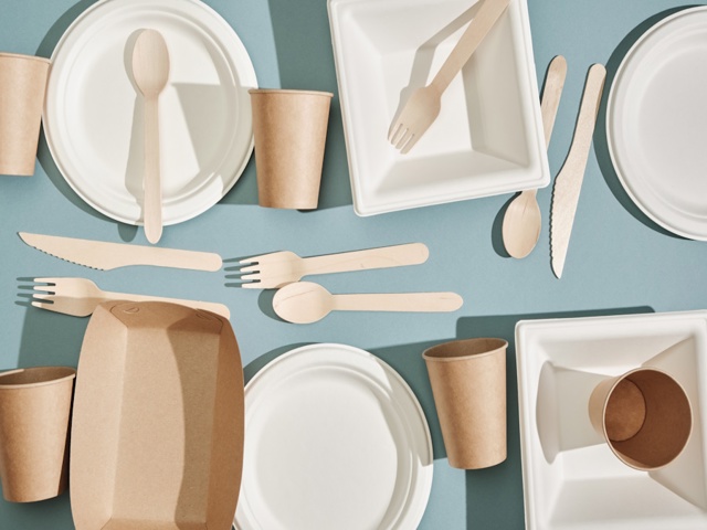 Categoria "Usa e getta"