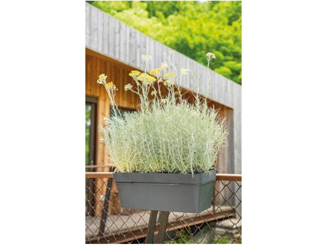 Like kit cassetta con riserva d'acqua 49 cm antracite