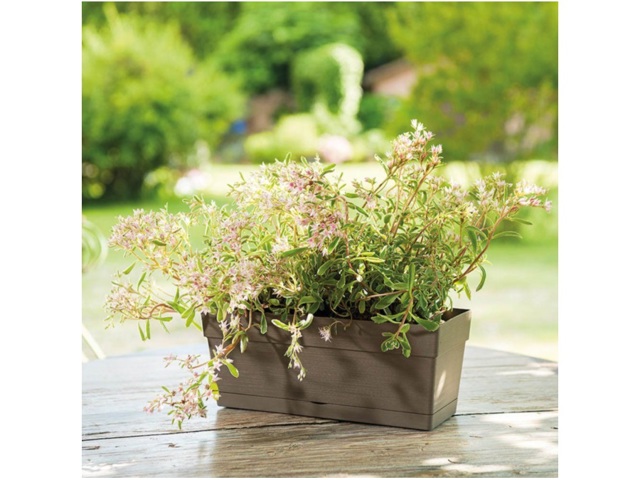 Cassetta save cm.28 camel