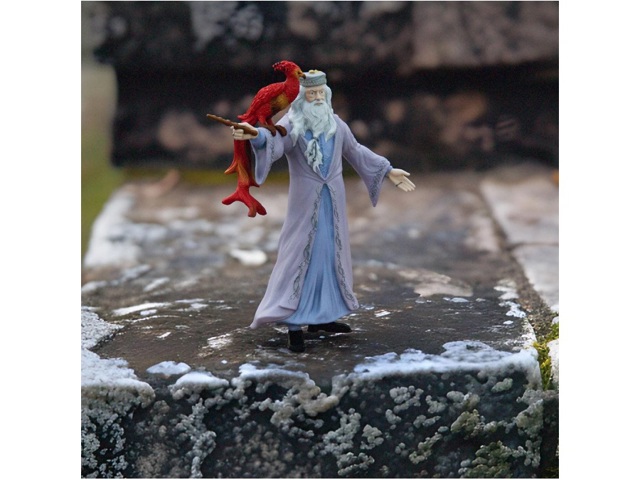 Albus silente e fanny