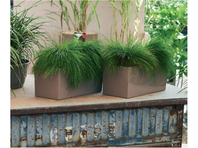 Relax 50th, fioriera mandorla 40x18x18 cm