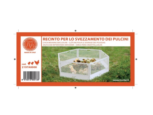 recinto pulcini recinto pulcini