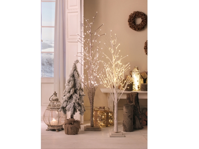 Albero Albero