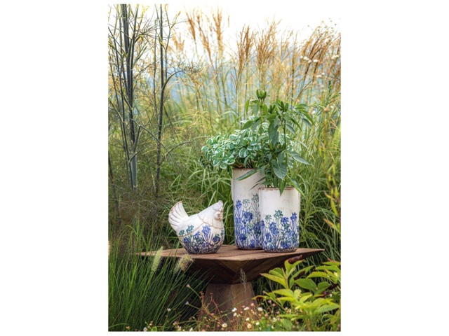 Eden, gallina giallo