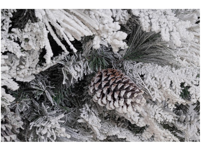 Albero avezzano innevato h210-1148 rami