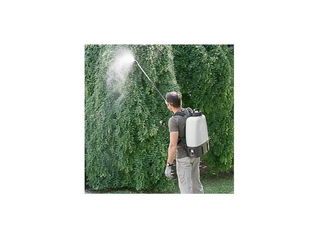 electra electra
