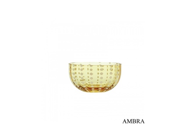 ambra ambra