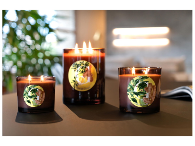 Elementi, candela 350 gr. lime & ginger - g