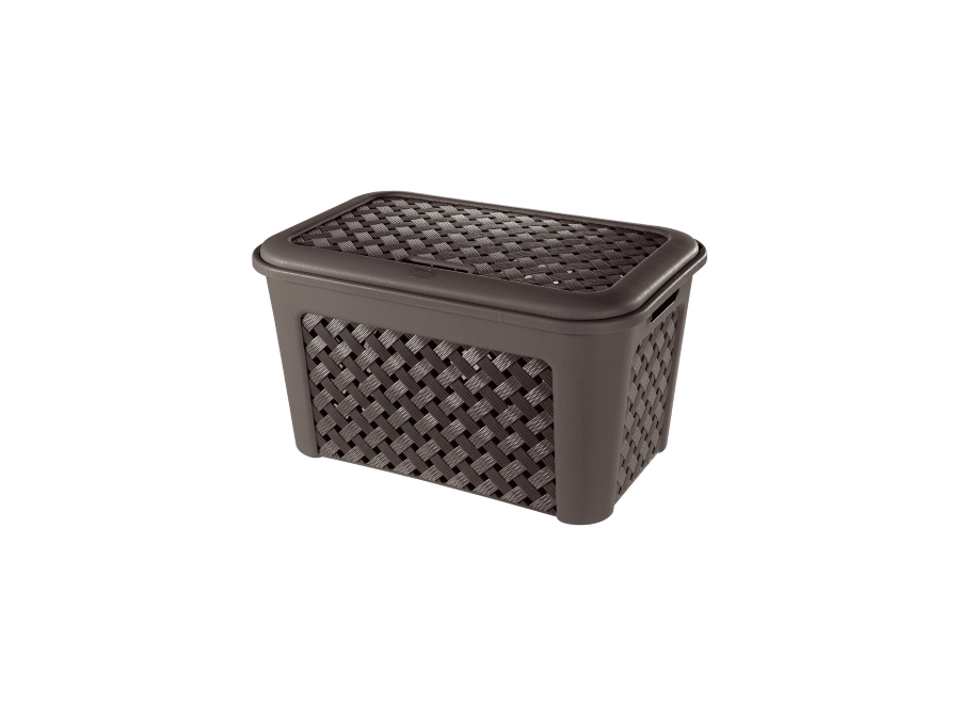 Cesta Cesta