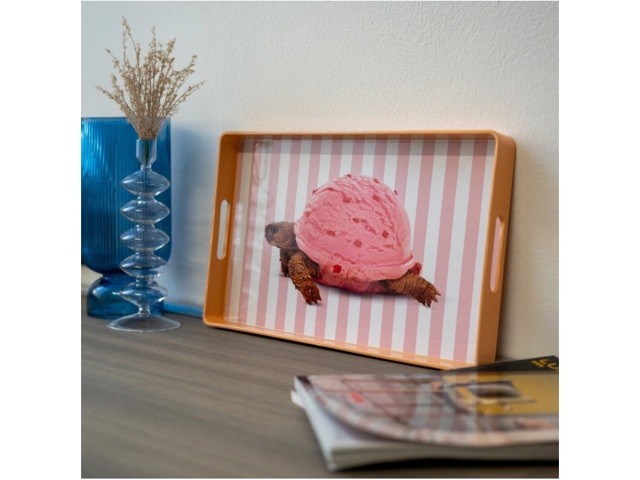 Vassoio rettangolare tartaruga 40x24 cm