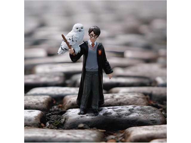 Harry & hedwig